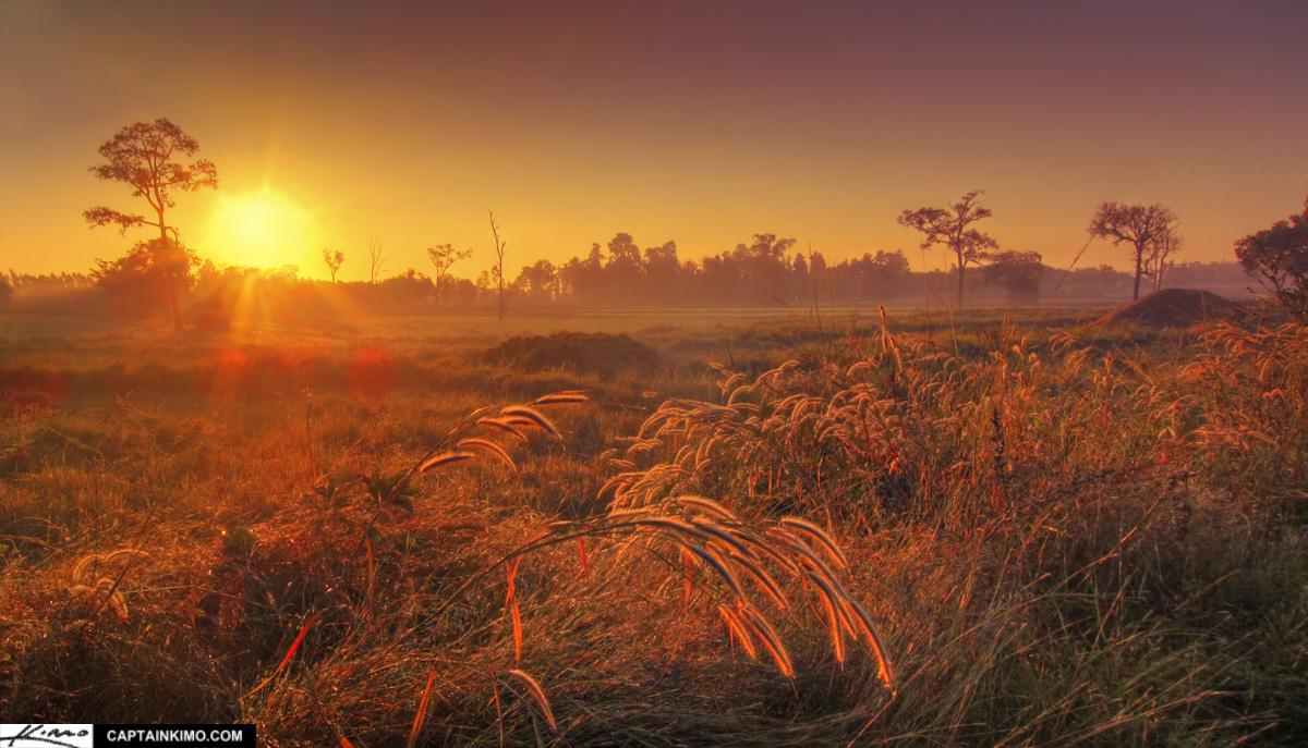 sunrise-over-buri-ram-rice-fields-in-tha