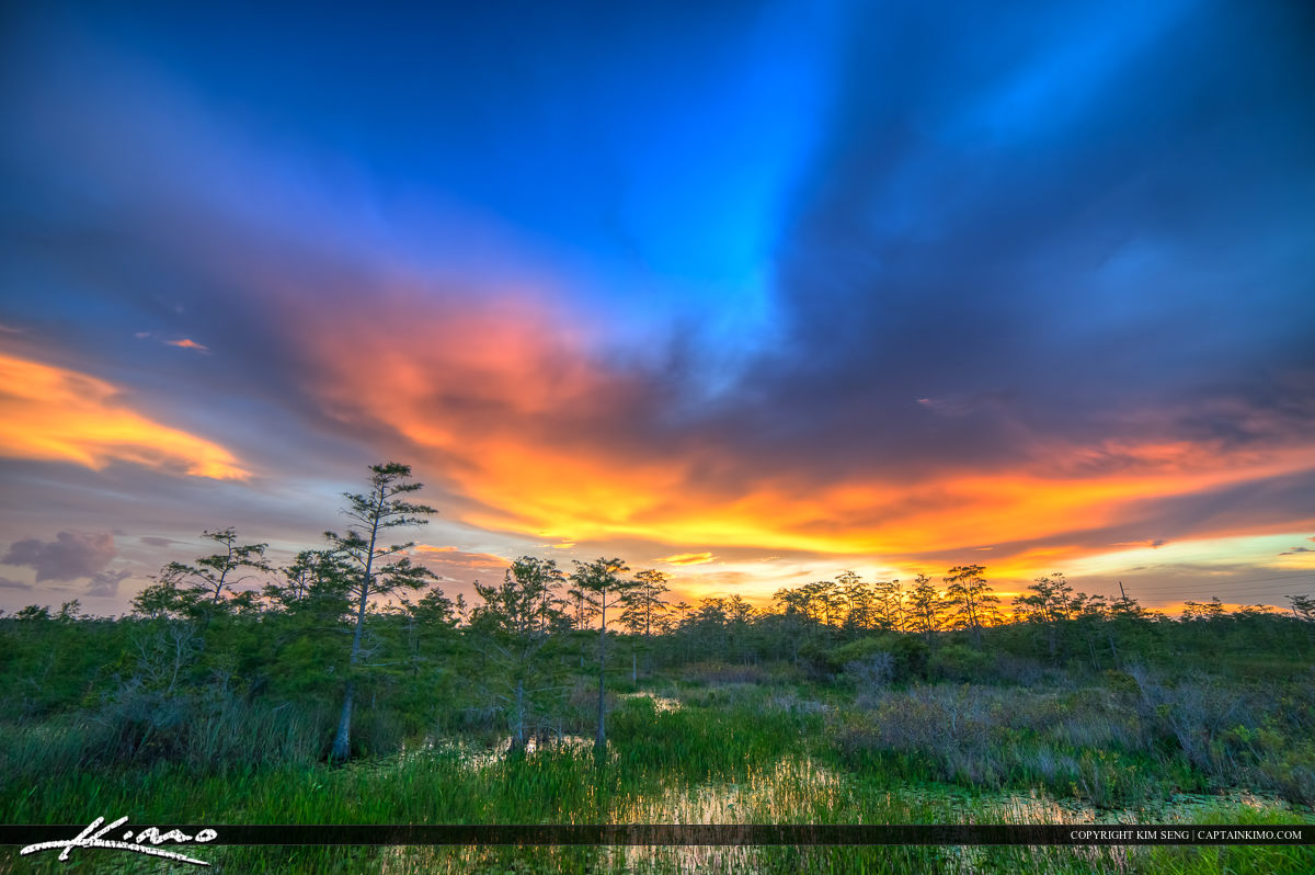 Beautiful Sunset Sky Florida Wetlands