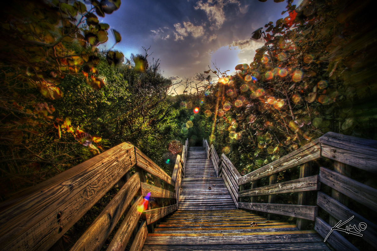Stairway at Sunset – John D. MacArthur Park