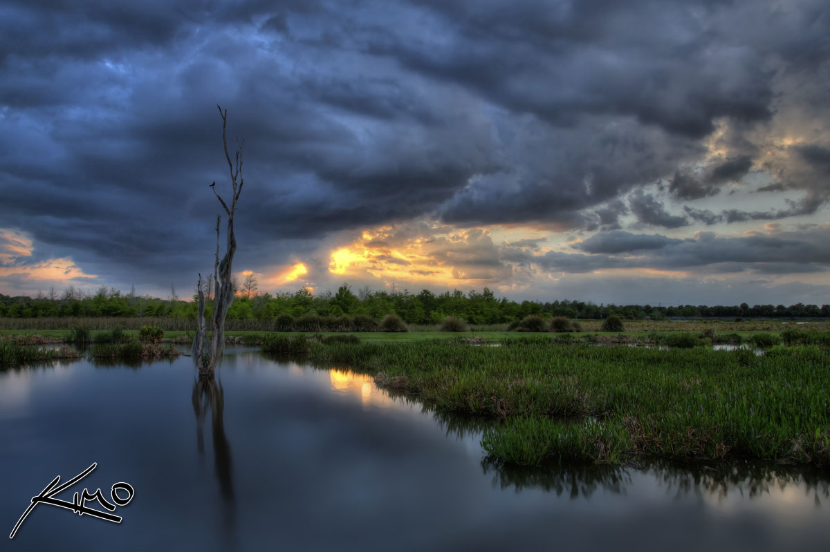 The Wetlands in Green Cay During Sunset