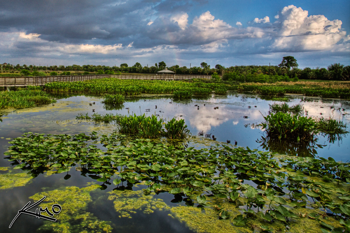 Green Cay Wetlands After the Storm