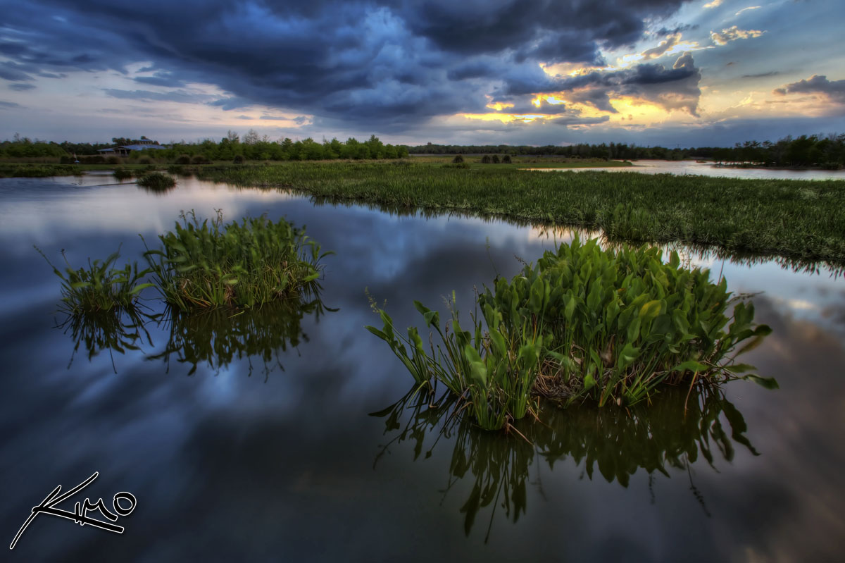Green Cay Wetlands Fifth HDR Photo