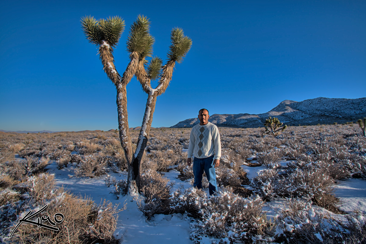 HDR Self Portrait with the Joshua Tree