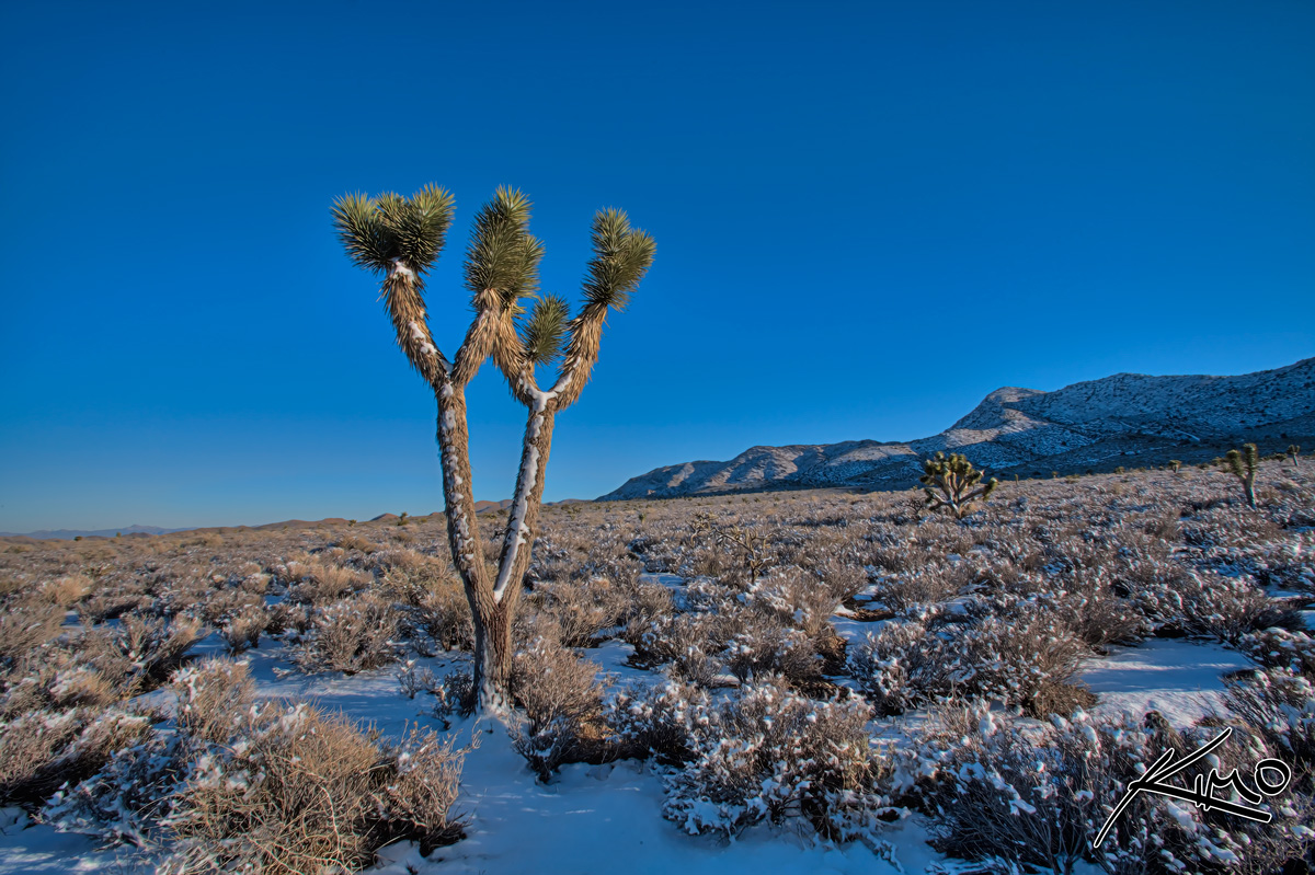 Mojave Desert Mountain During Winter