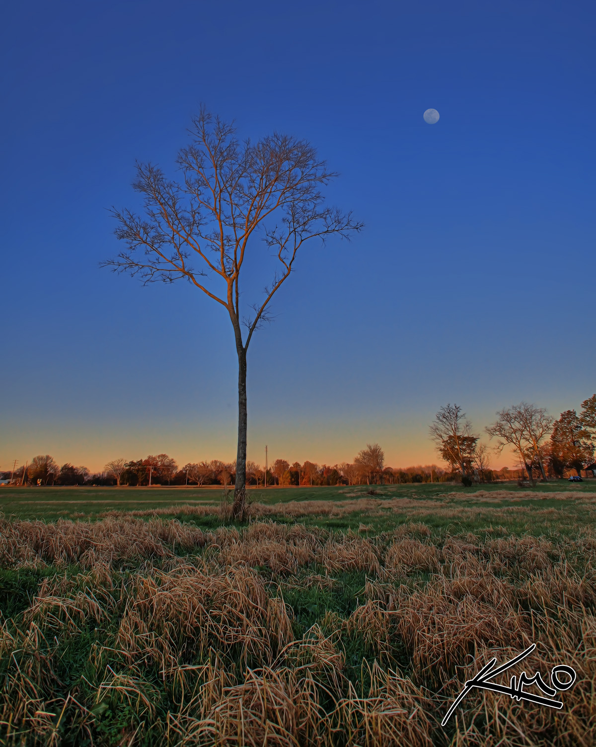 Murfreesboro Tennessee Moonrise