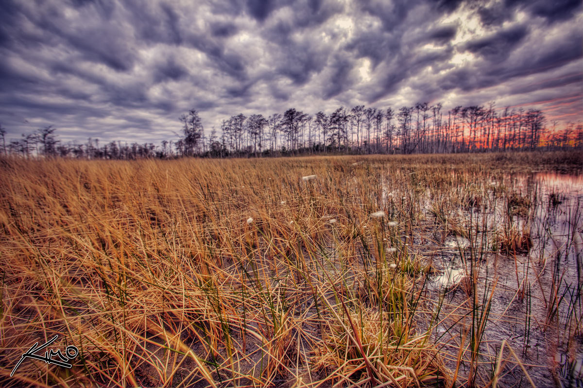 Final HDR Friday – Loxahatchee Slough Sunset