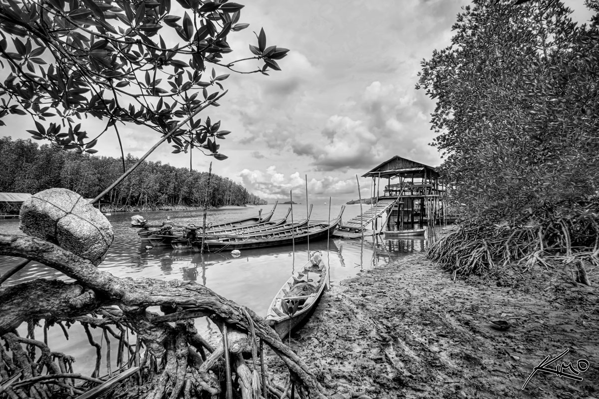 Thailand Fishing Boat Docked by Mangroves