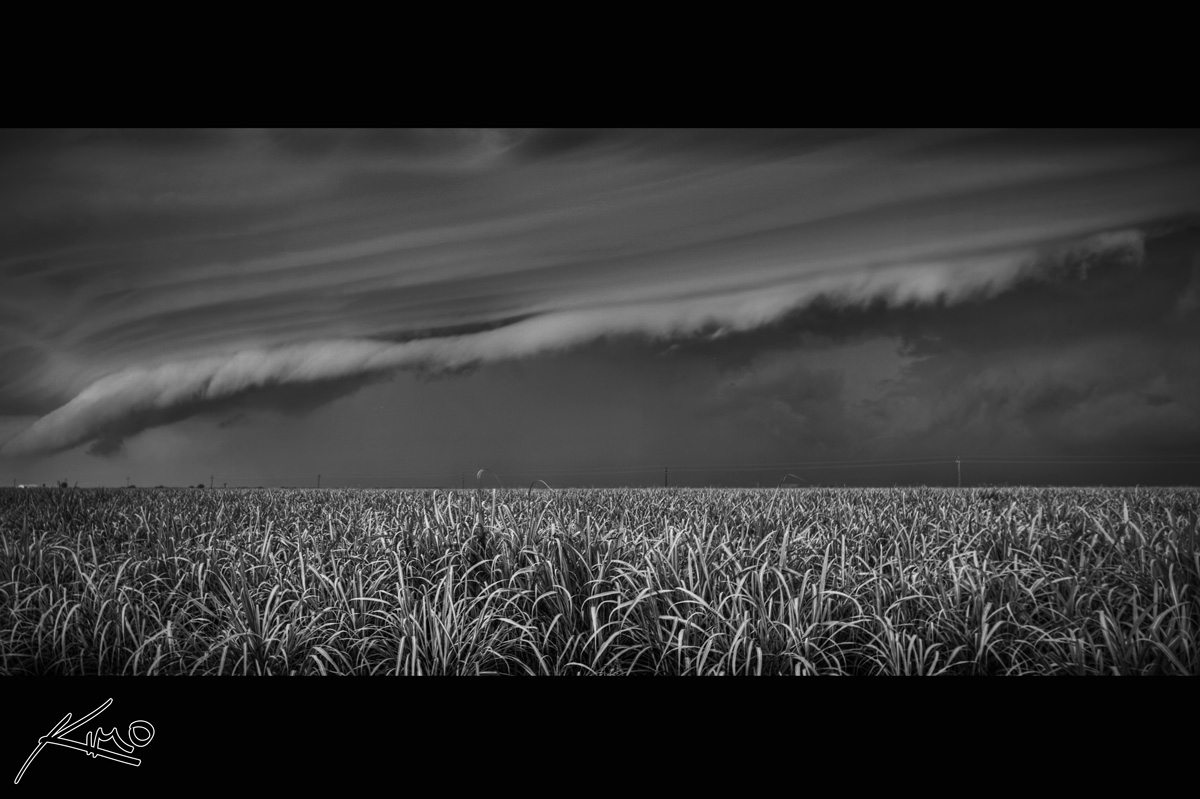 Storm Over Sugercane Field