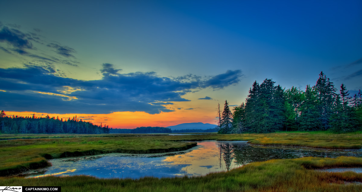 Acadia National Park Maine Sunset Over Mountain Pine Tree