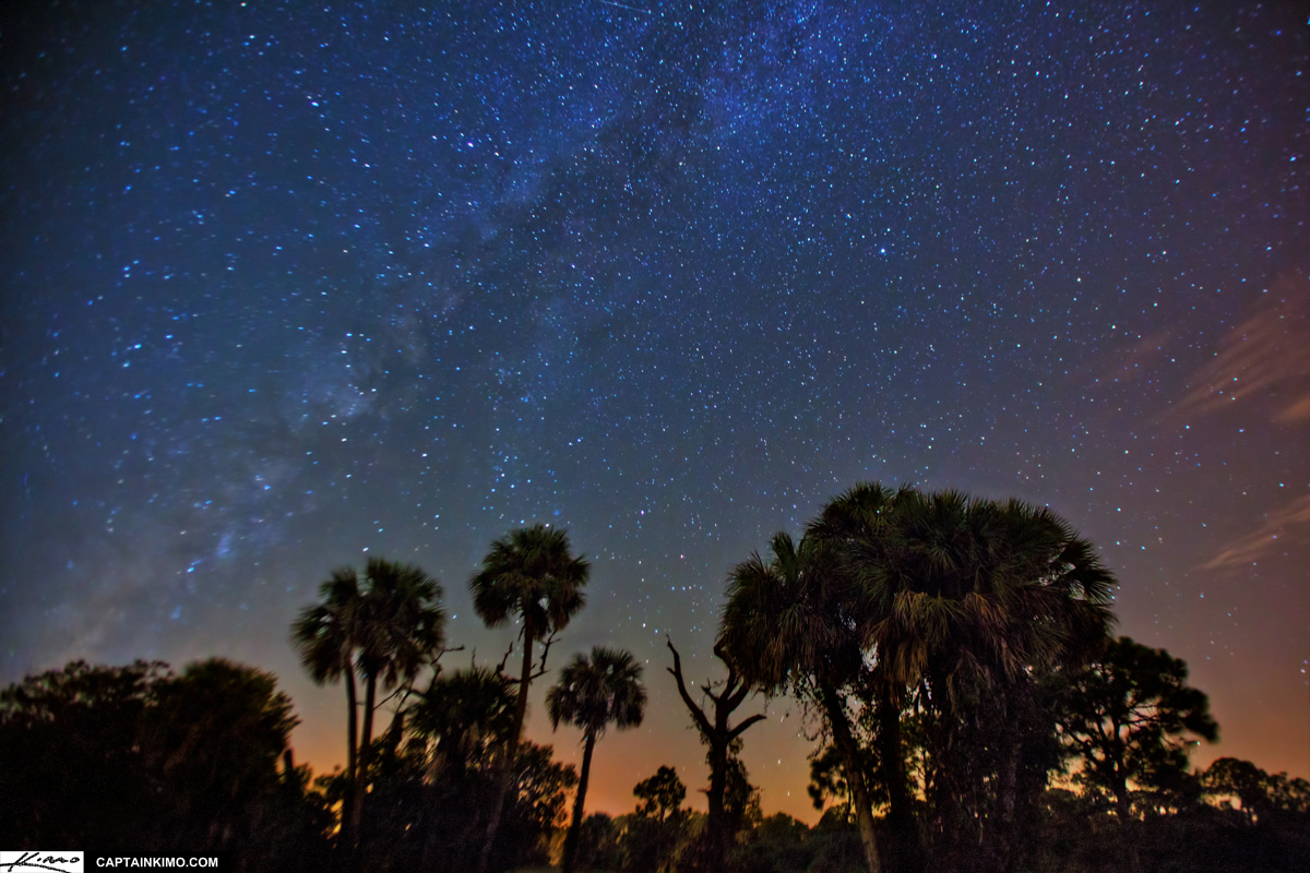 Florida Starry Night Under the Milkyway