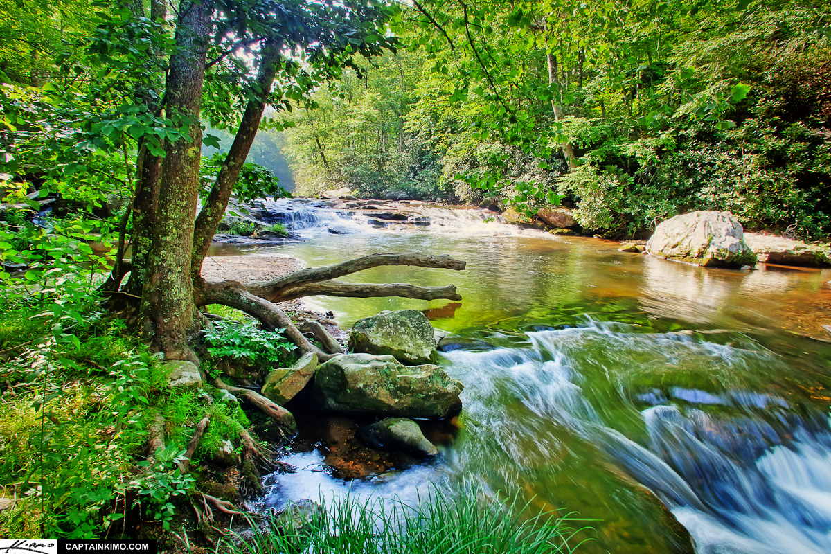 Beautiful North Carolina Creek During Summer