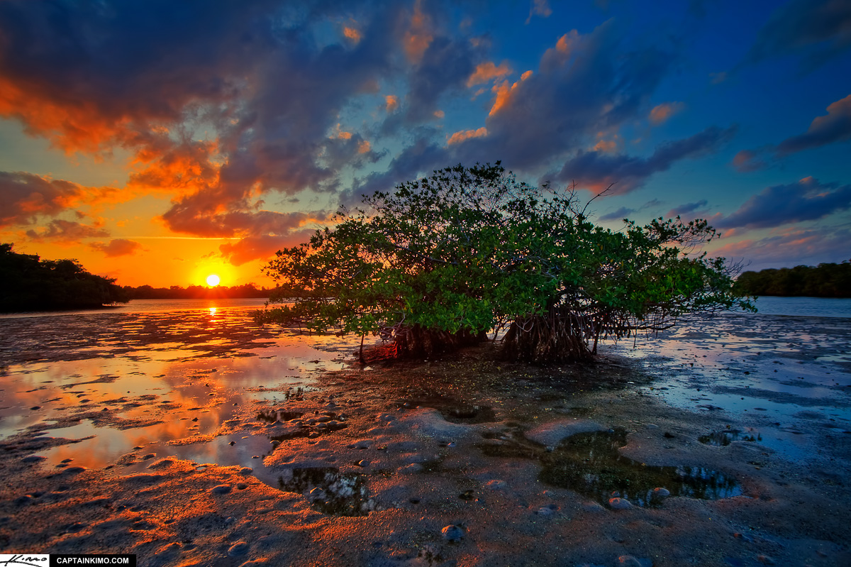 Little Mangrove Island During Sunset at Lake Worth Lagoon
