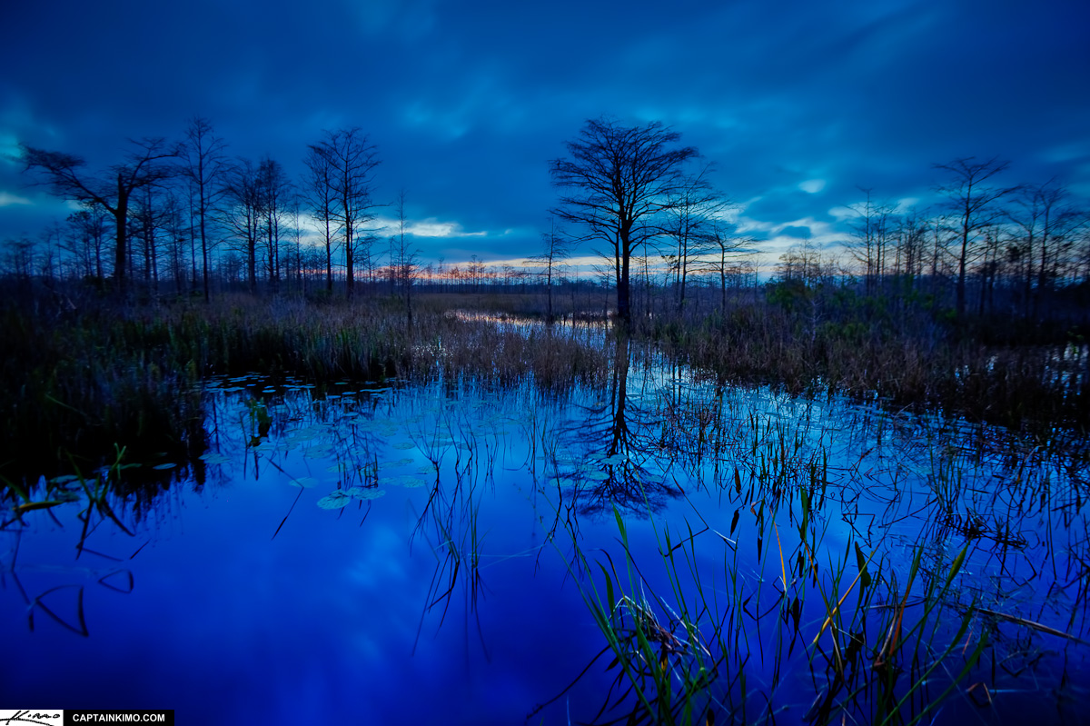 Midnight Blue Evening at Loxahatchee Slough After Sunset