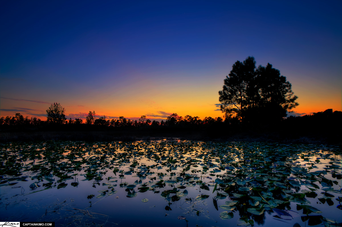 Sunset Over Wetlands Palm Beach Gardens Florida