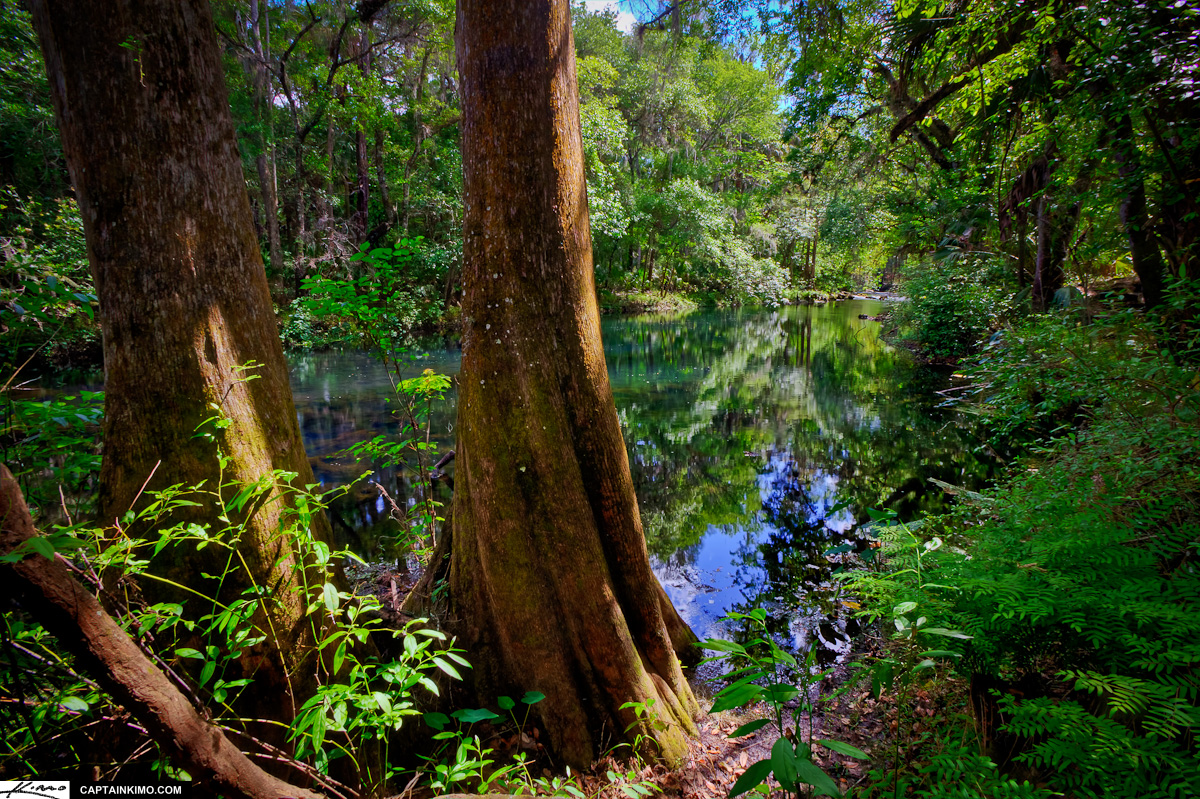 Hillsborough River State Park Thonotosassa Florida