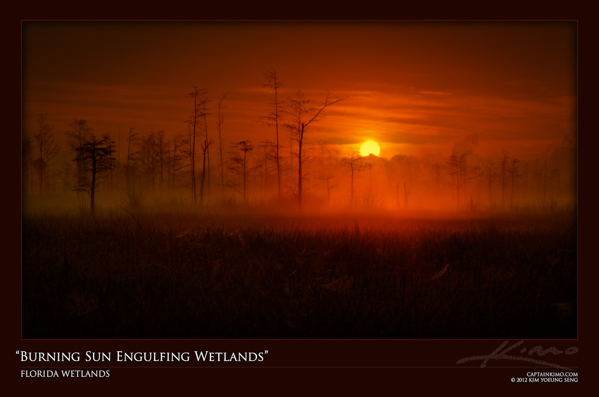 Burning Sun Engulfing Florida Wetlands