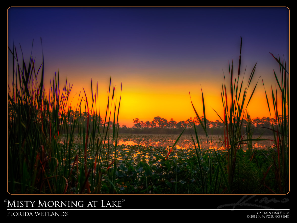 Misty Morning Sunrise at Florida Lake