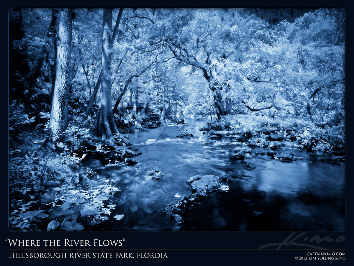 Where the River Flows Hillsborough River State Park Florida