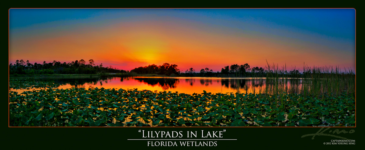 Sunset Panorama Over Lilypad Lake Florida