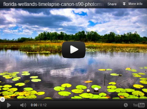 Quick HDR Timelaspe from Florida Wetlands