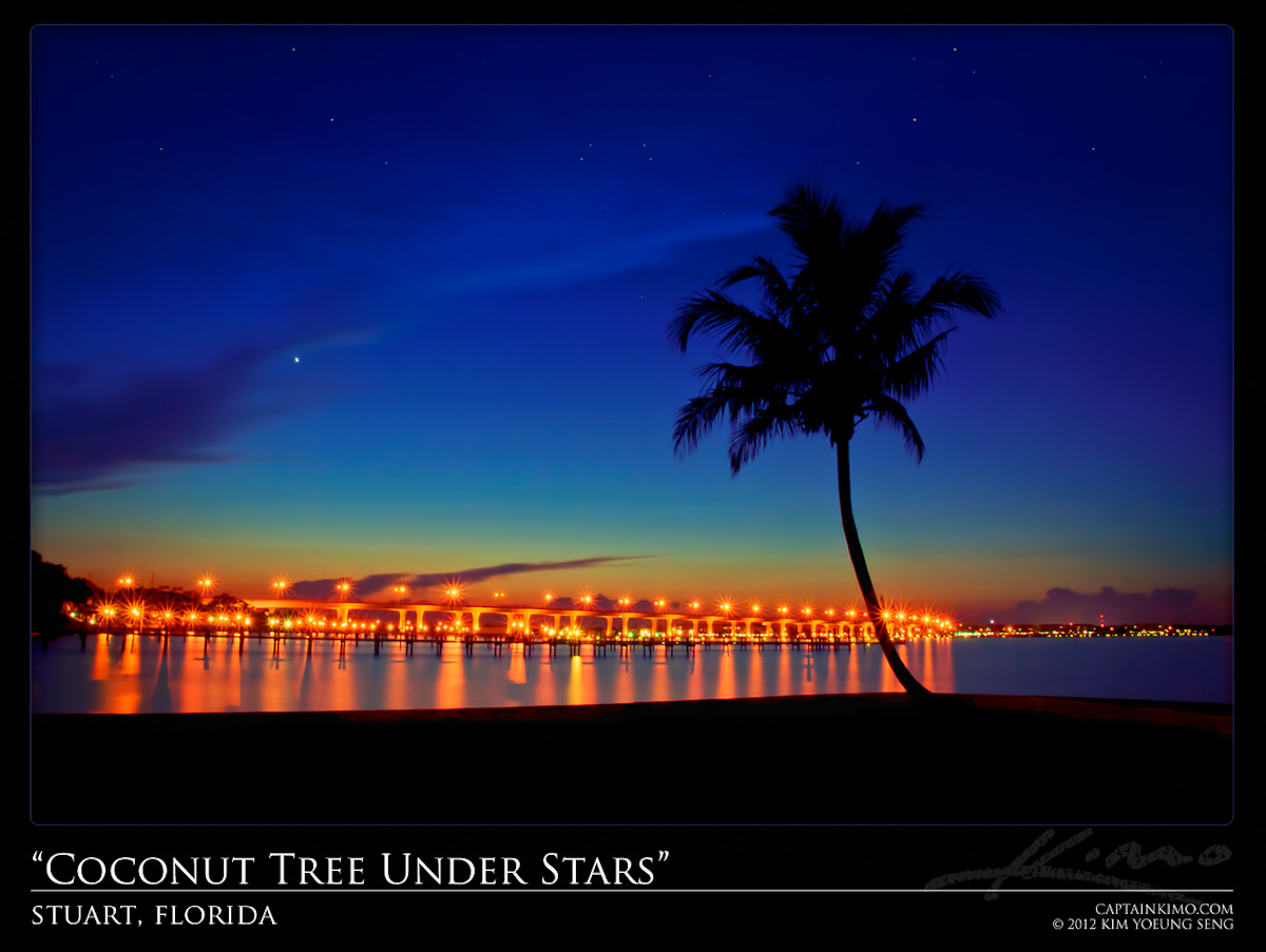 Coconut Tree Under Starry Night Stuart Florida Roosevelt Bridge