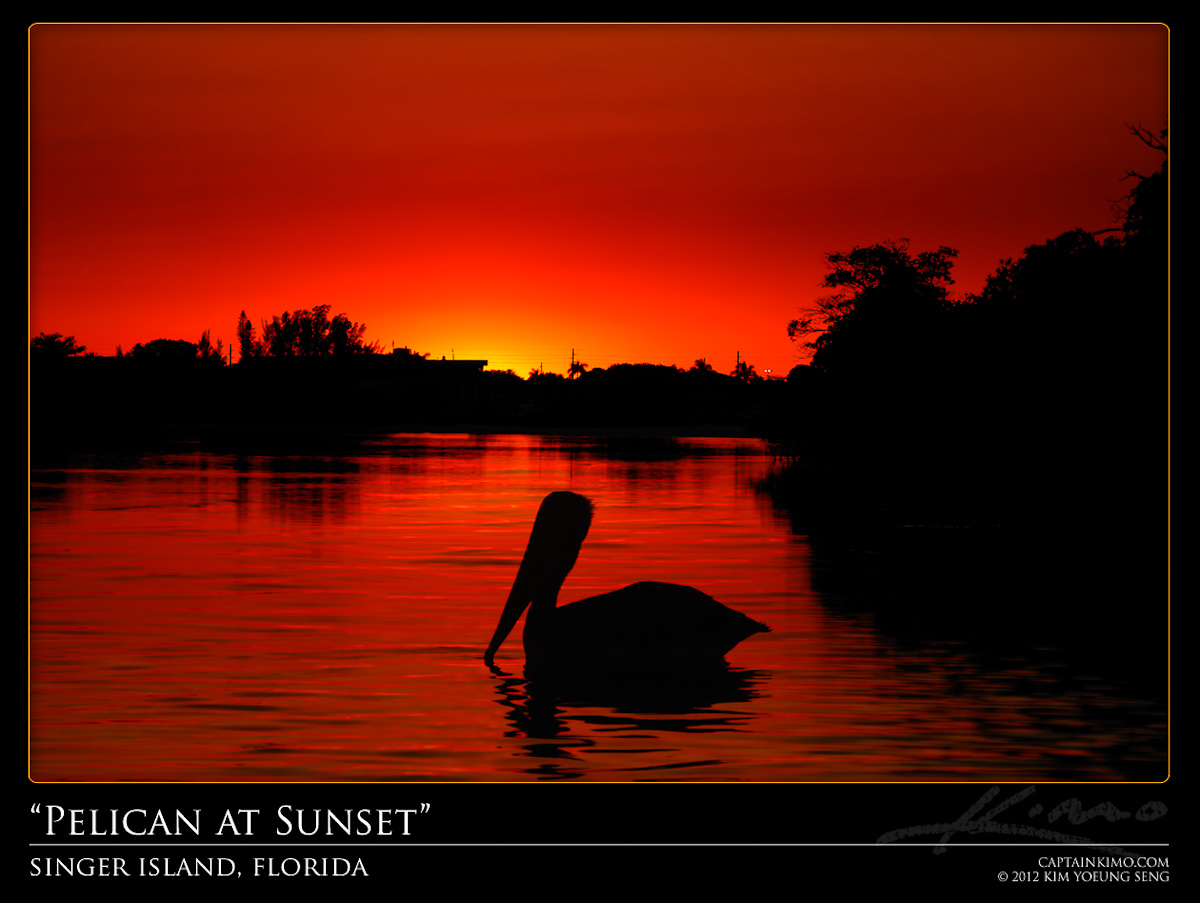 Pelican at Singer Island During a Red Hot Fiery Sunset