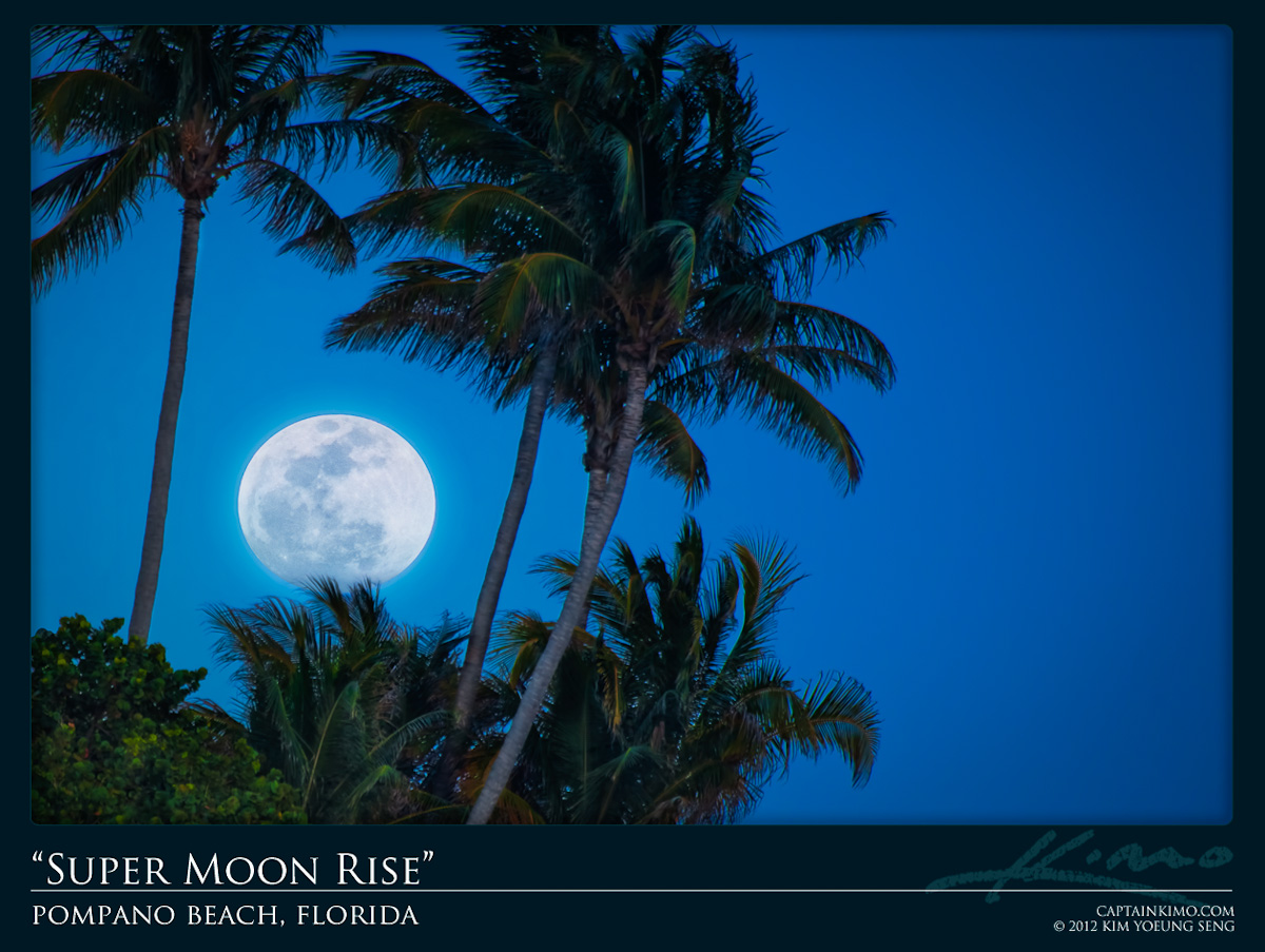 Super Full Moon Rise at Pompano Beach Hillsboro Inlet Coconut Trees Florida