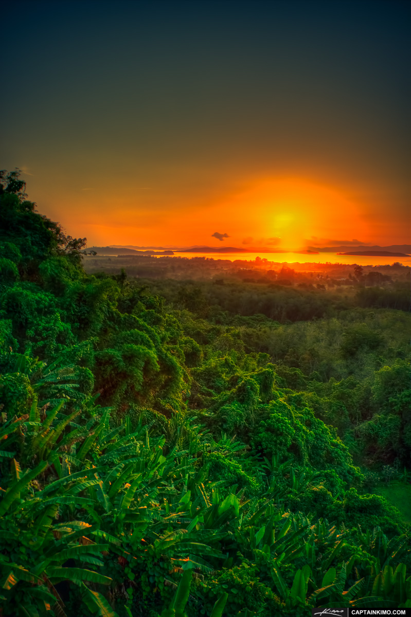 Sunrise Over Banana Trees at a Rain Forest in Phuket Thailand