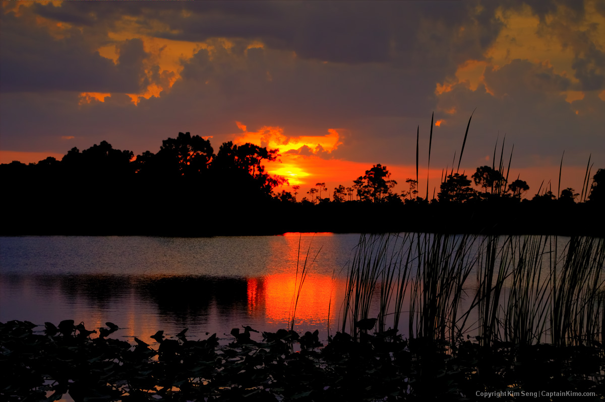 Sunset at Hungryland Slough Over Small Lake in Jupiter Florida