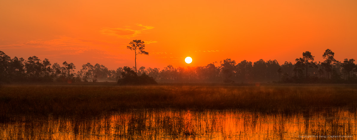 Hungryland Wetlands During Sunrise at Jupiter Farms Florida