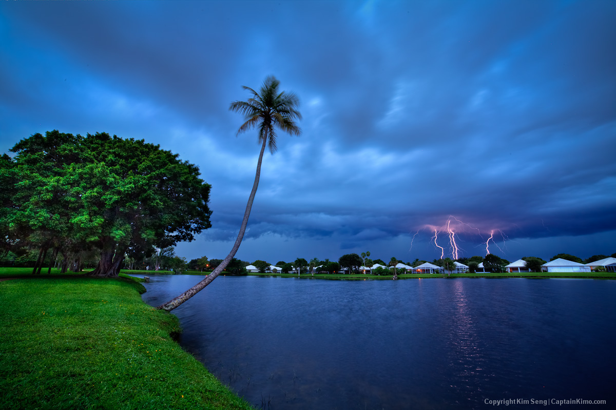 Palm Beach County Lightning Storm Over Lake and Coconut Tree