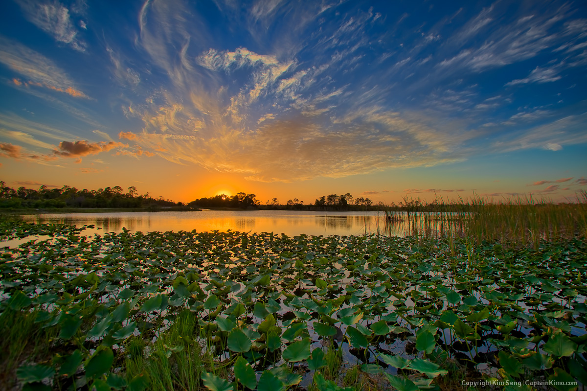 Sunset Over Lilypad Lake at Hungryland in Jupiter Florida