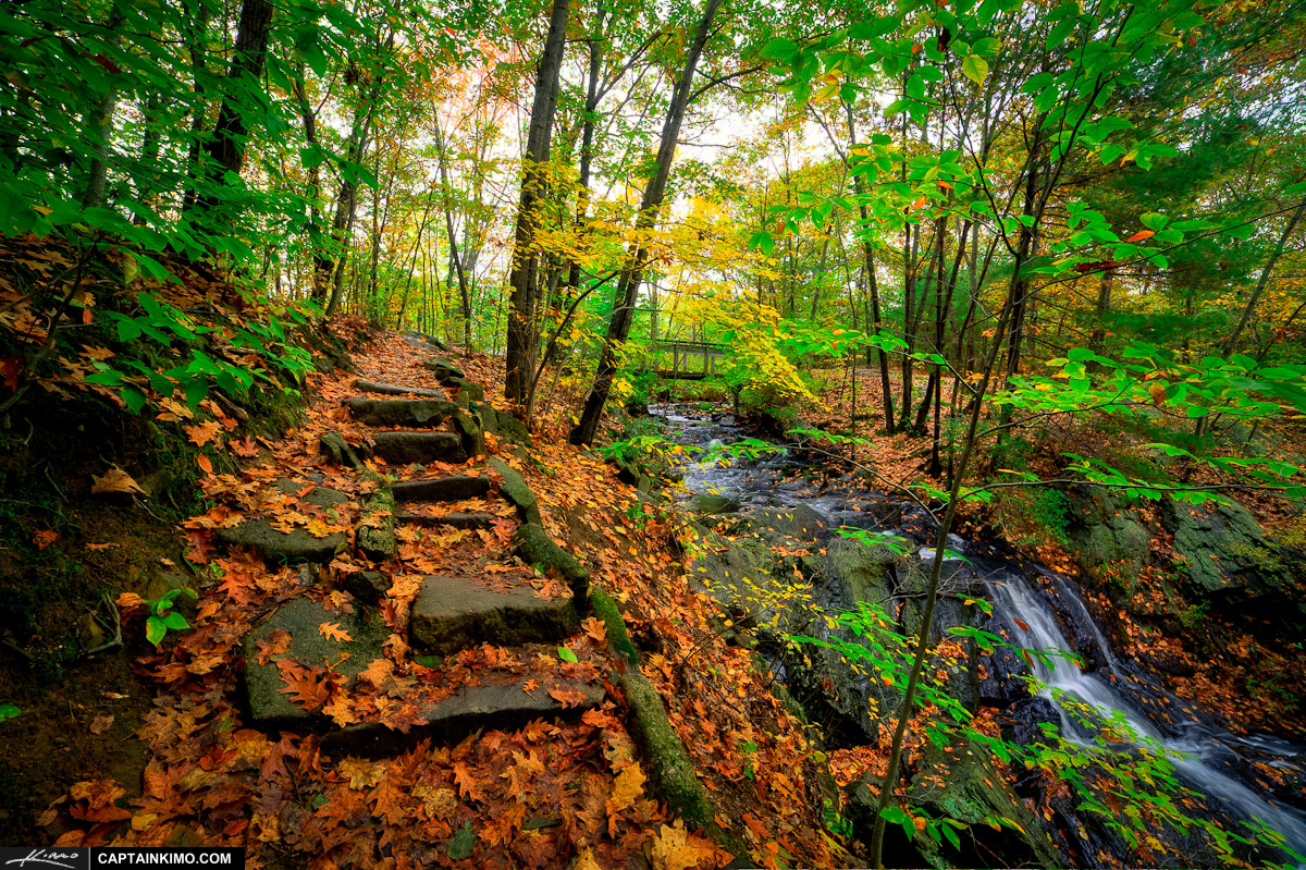 Rock Steps on Trail at Fore River Sanctuary in Jewell Falls