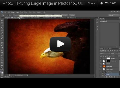 Photo Texturing Eagle Image in Photoshop Using Topaz ReMask and Adjust