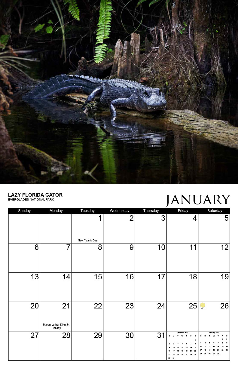 January 2013 Florida Calendar by Captain Kimo – Lazy Gator