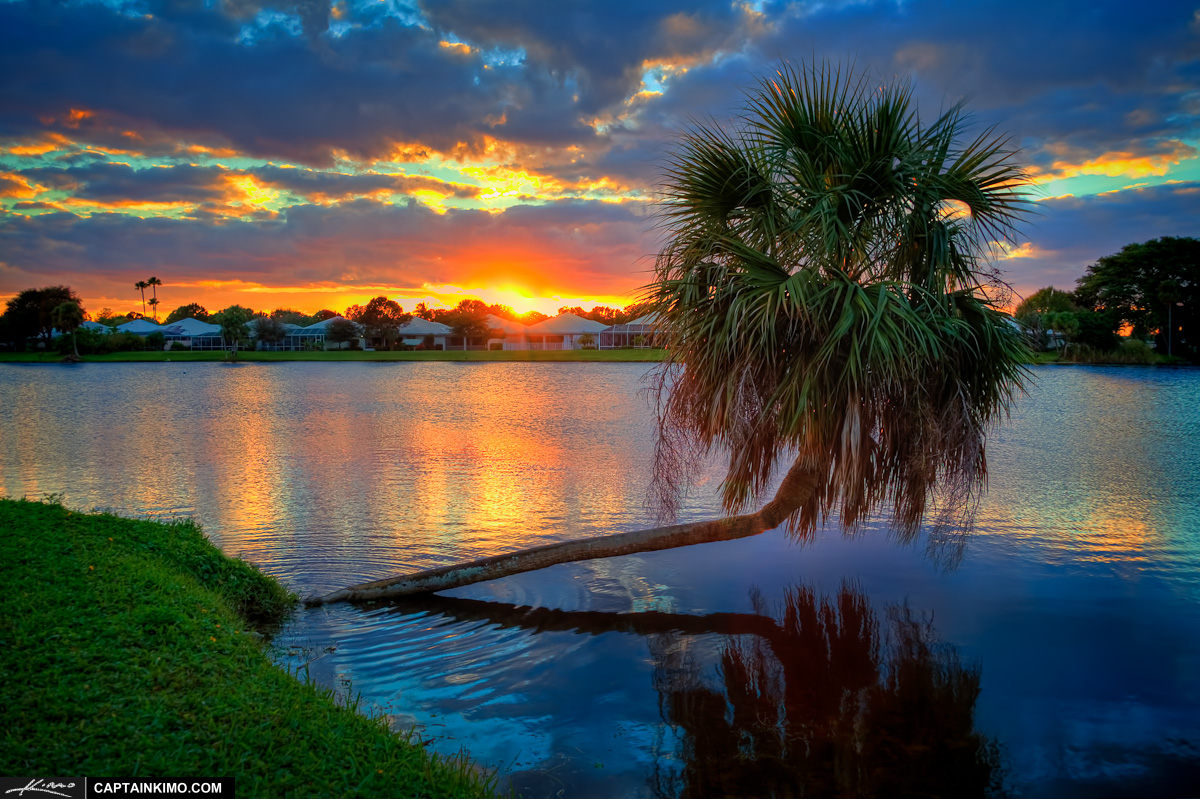 Sunset at Lake Catherine with Palm Tree in Water