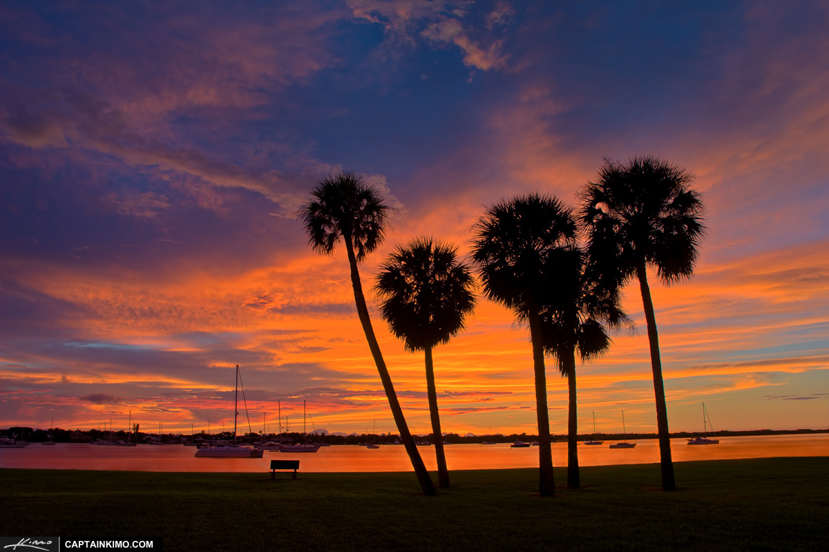 Sunrise Over Palm Trees at Lake Worth Lagoon in North Palm Beach