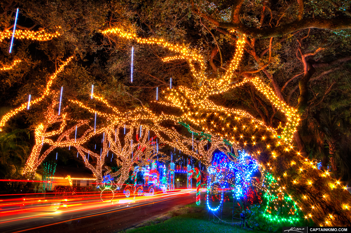 Live Oaks with Christmas Lights on Neighborhood Street