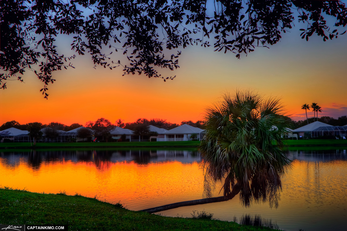 Palm Tree Sunset Over Lake South Florida Living