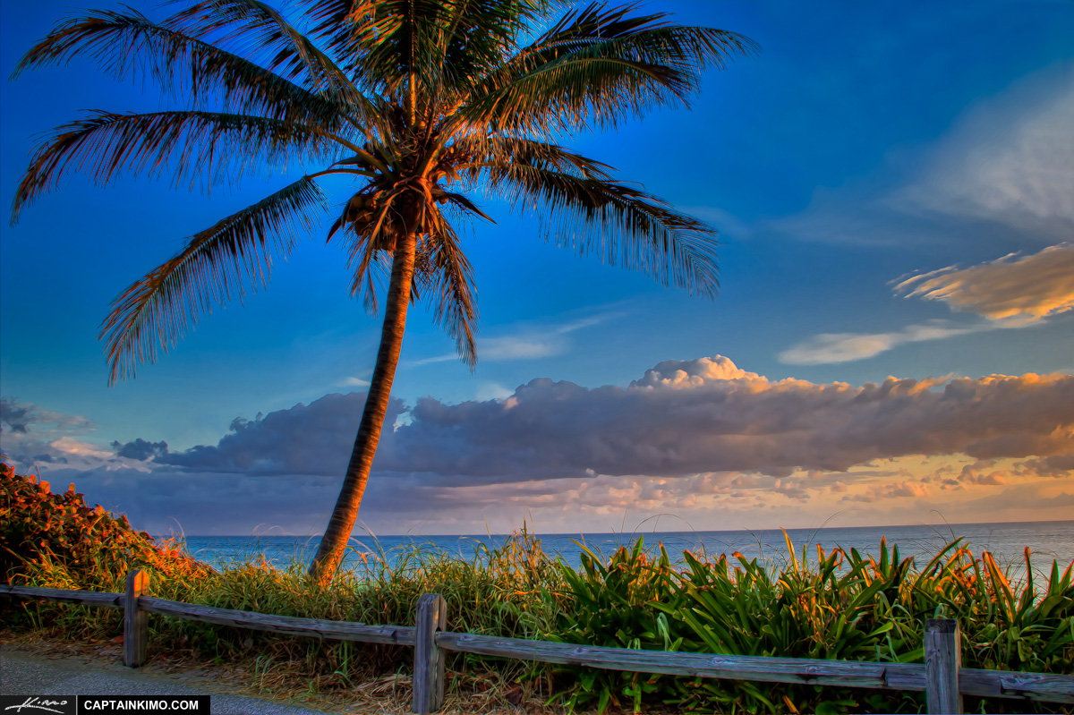 Sunrise at Coral Cove Park Beach with Coconut Tree