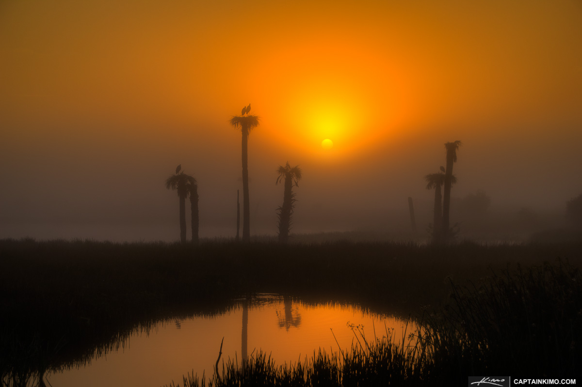 Foggy Morning Sunrise at Viera Wetlands Melbourne Florida