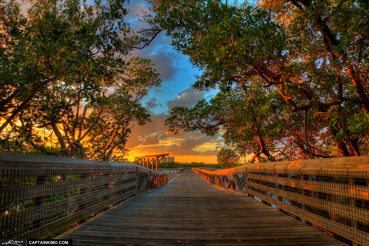 MacArthur Beach Park Boardwalk with Mangrove Trees at Sunset