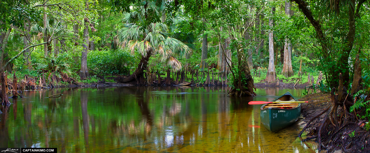 Canoe at Loxahatchee River Jupiter Florida
