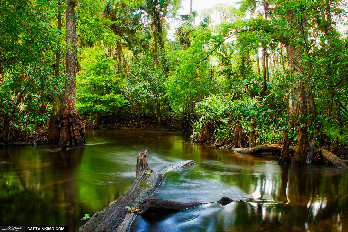 Loxahatchee River Backwaters from Jupiter Florida