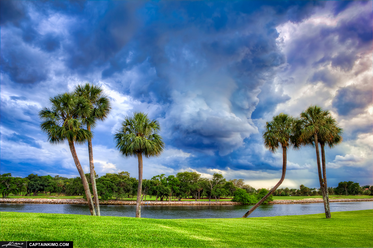 Storm Clouds Over Palm Trees in North Palm Beach Golf Course