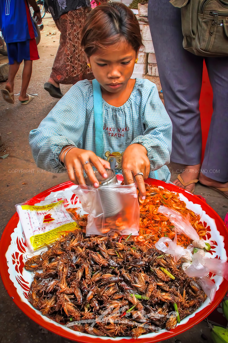 Girl in Cambodian Market Selling Fried Crickets