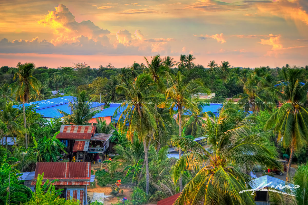 Cambodian Village in Battambang with Many Coconut Trees