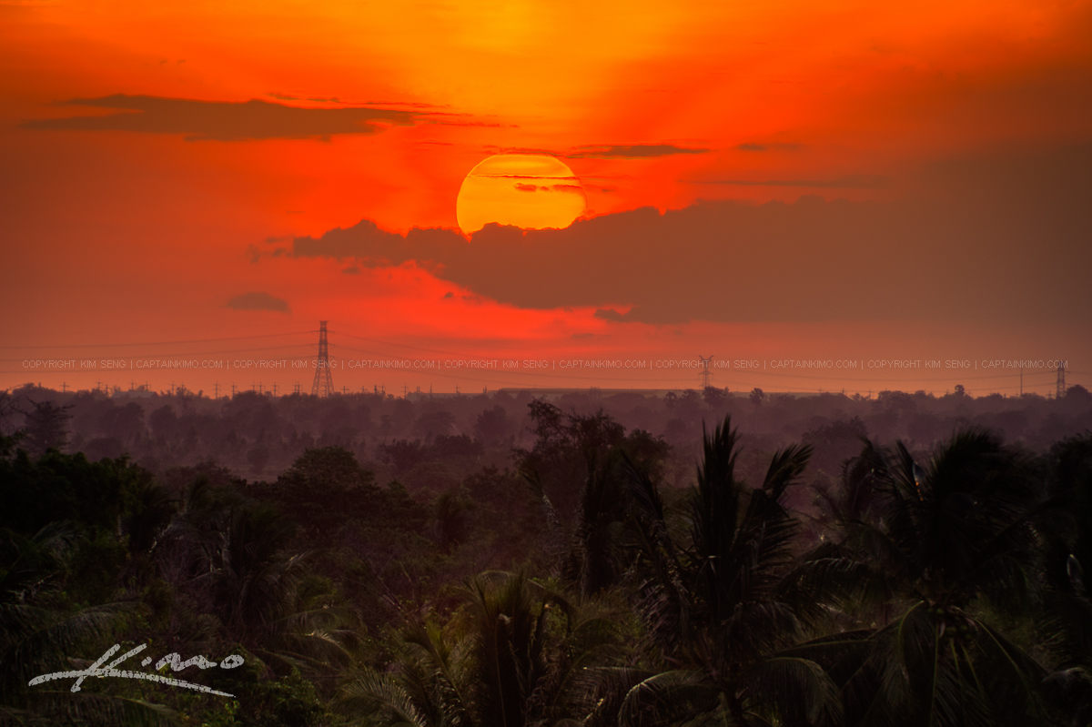Sunset Over Coconut Trees in Battambang Cambodia
