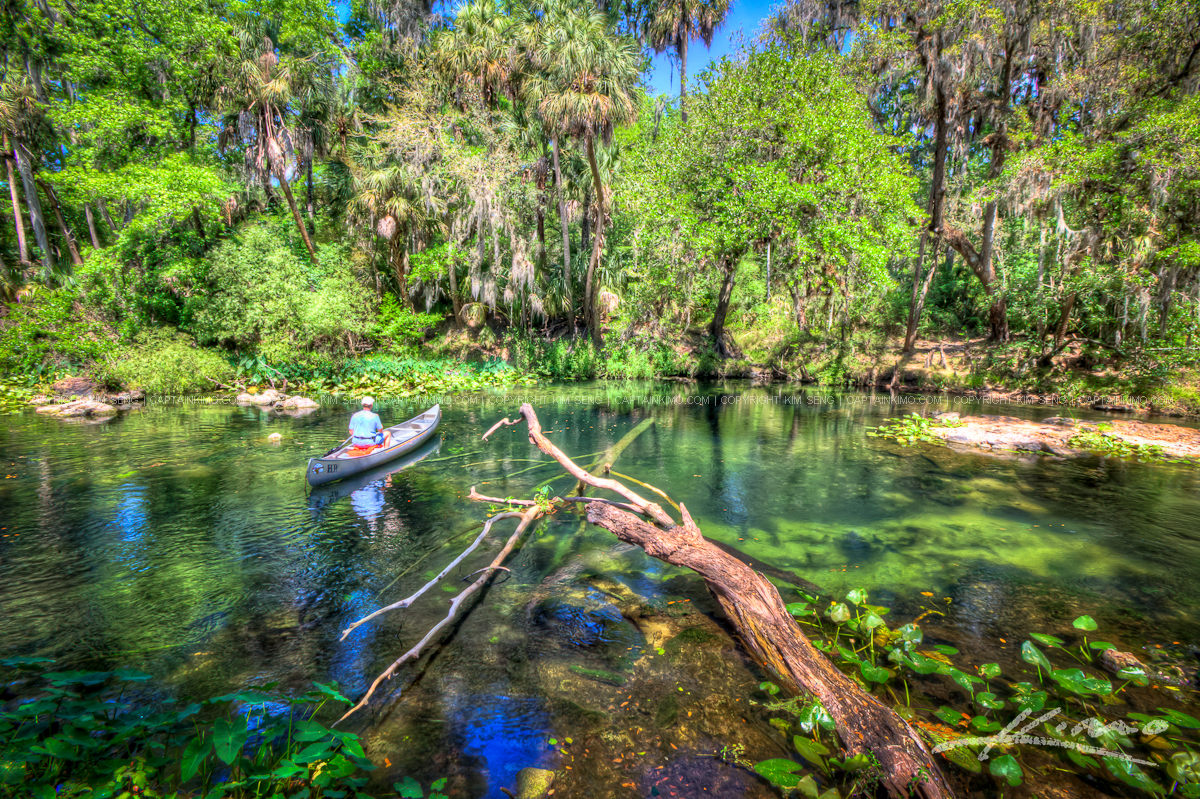 Canoeing the Hillsborough River State Park Florida