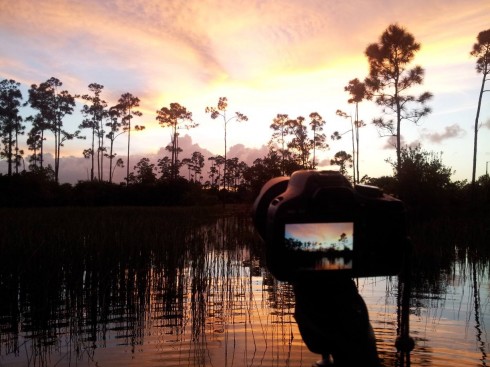 sunset-over-florida-wetlands